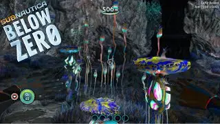 QUICK PEEK LILY PADDLER UPDATE | Subnautica: Below Zero (experimental) Exploring Build 15041