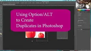 Creating Duplicate Layers and Content with Option and Alt Shortcuts