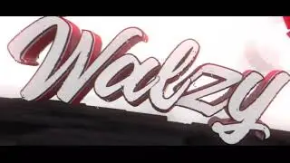 Walzy İntro