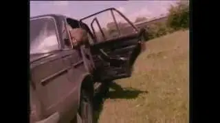 Территория - Автостоп