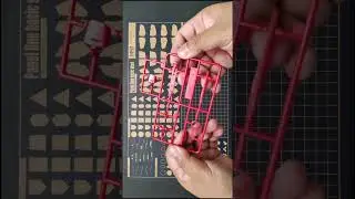 GAOGAO MGSD Freedom Gundam model kit Unboxing and SpeedBuild PART 1 #gundam #gunpla #gundamseed