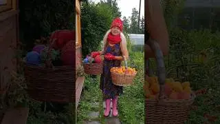 В гостях хорошо. #shorts #shortvideo #лето #дача #тренды #фрукты #приколы #смех #юмор #шутки