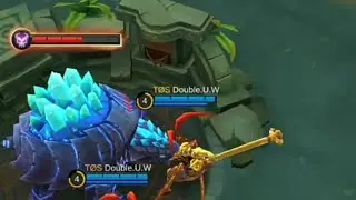 how to steal turtle