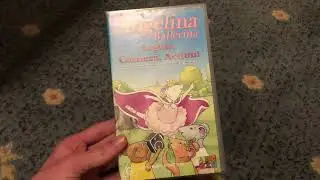 VHS Update For 4 October 2024