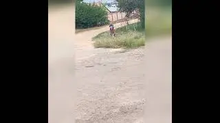 Мишка капченый против Василя пенька