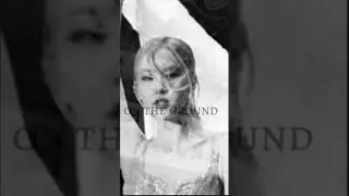 ‪@BLACKPINK‬