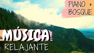 Cómo Relajarte con MÚSICA de PIANO 🎹 en el BOSQUE 🌲