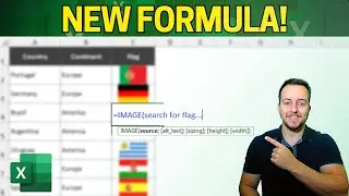 Image Function in Excel | New Formula to Get Images Directly from the Internet to Spreadsheet