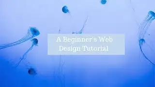 A Beginner's Web Design Tutorial [2019]