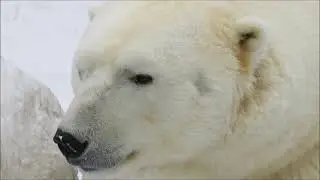 С Каем удалось побеседовать 15.02.2021