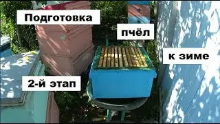 Подготовка пчёл к зиме - 2й этап.