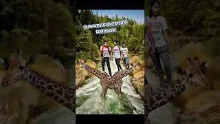अगर नदी में Bridge ना हों #shorts #viral