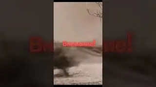 8 мая 1945 года ☭ #8мая #деньпобеды