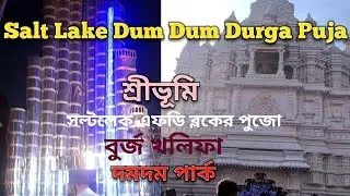 Salt lake and Dum Dum Durga Puja l Dum Dum Park l Sreebhumi l Burj Khalifa Pandel l FD Block l Vlog 