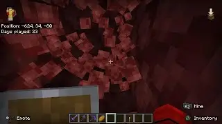 Minecraft world - episode 10