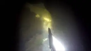 Подводная охота р.Тузловка (Новочеркасск)