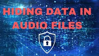 Steganography 101: How to Hide Data Within Other Data and Protect Your Information