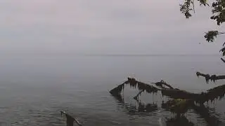 Fluidity - Water in Motion