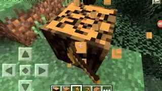 Minecraft pe survival bölüm 1