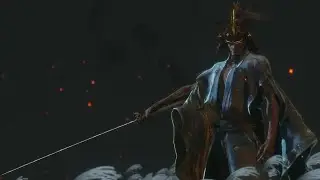 Isshin, the Sword Saint /No Damage (except for lightning reverse)