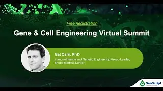 Genetic engineering approaches to support clinical applications of T cell receptor library targeting