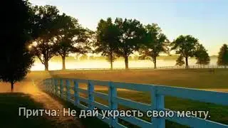 Притча: Не дай украсть свою мечту.