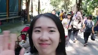GIMANA KABAR KEBUN BINATANG SURABAYA??🦌🦒🐘🦛🦁🦚🐦