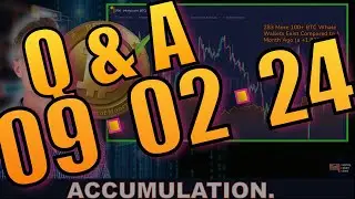 Q&A - 17 MONTH HIGH BTC WHALES ACCUMULATING. PRICE DROPPING. HAMSTER KOMBAT.