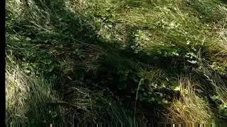 Подорож у КУТ