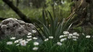 Aloe Vera Animation . 3dsMax