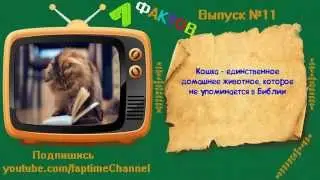 7 фактов #11 -Всё обо всем! И обо всех!