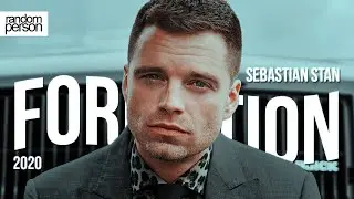 Sebastian Stan | Formation