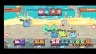 DDP vs APP