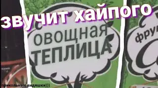ОВОЩНАЯ ТЕПЛИЦА|Подборка прикольных видео