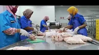 Portfolio Company Profile Berdikari, Fresh Meat & Frozen Food.