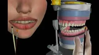 Kljuc boja