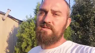Крысы ели утят и гусят