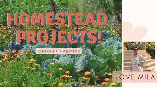 Homestead/garden projects!!!