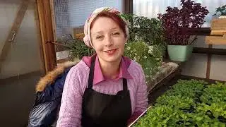 ВАГОН РАБОТЫ ,  ЧТО  ДЕЛАТЬ?
