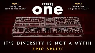 Moog One - Epic Split!  who says it can't do plucks?!