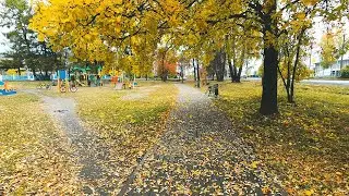 Кирс. Осенняя прогулка по Клубному саду, Набережной Большого пруда и Зелёному острову.