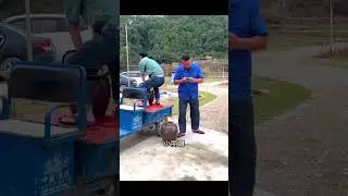 कल्लू कितना मोबाइल देखेगा 😂 ~ mini wood toy-woodworking art skill / hand Crafts / #trending #shorts