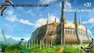 The Elder Scrolls IV: Oblivion➤ Прохождение #37➤ Мудрость веков