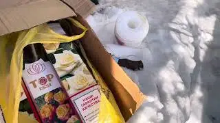 Храню розы в сугробе… 3.03.2024