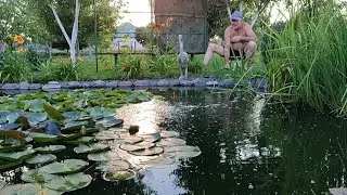 Риболовля на власному озері. Смачний карась 🍴🐟🍺
