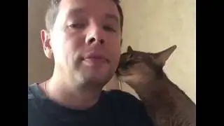 Х1илли лелош ду цицк )