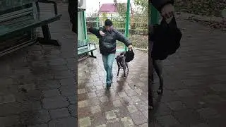 14 ноября 2023 г.