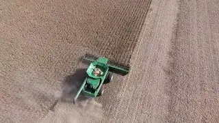 How do Farmers Harvest Soybeans?