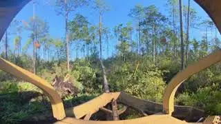 360 Interactive 4K Video: Making a path through the woods