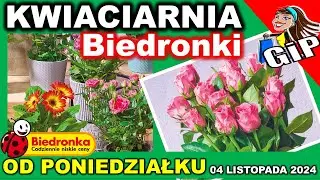 𝐁𝐈𝐄𝐃𝐑𝐎𝐍𝐊𝐀 🐞 🌺🌹🌷💐 Kwiaty w Promocji od Poniedziałku 04.11.2024.